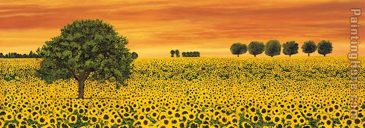 Richard Leblanc Field of Sunflowers